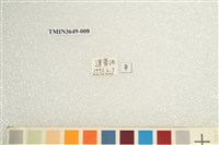 薄翅蟬藏品圖，第4張